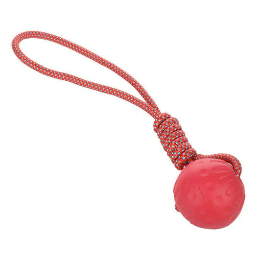 Spielball mit Schnur - für Hunde