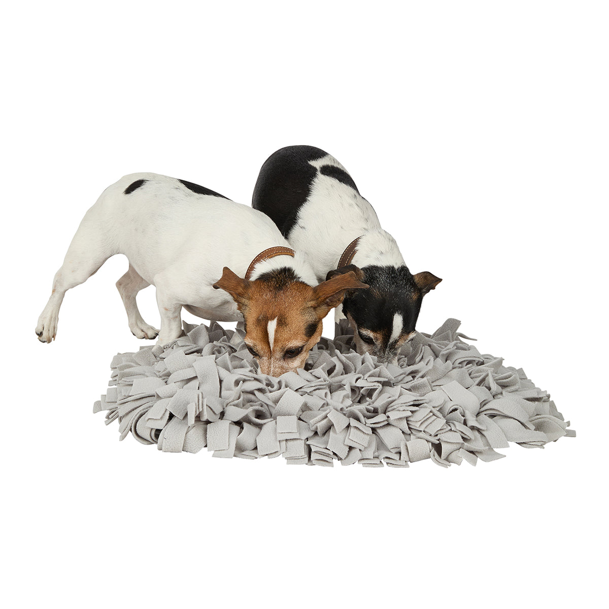 Schnüffelteppich - Spielen und Entspannen für Hunde